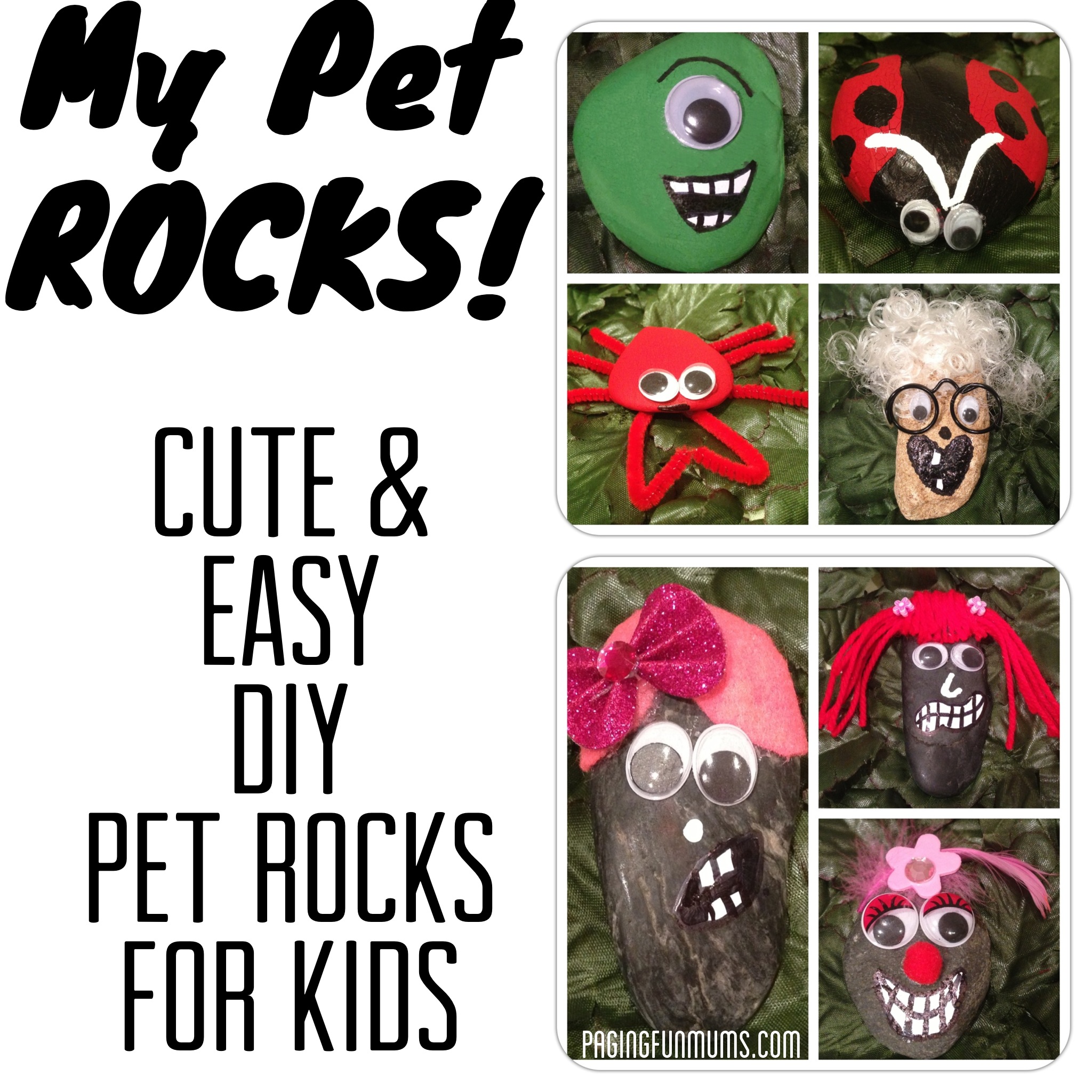 My Pet Rocks! Cute & easy DIY Pet Rocks For Kids